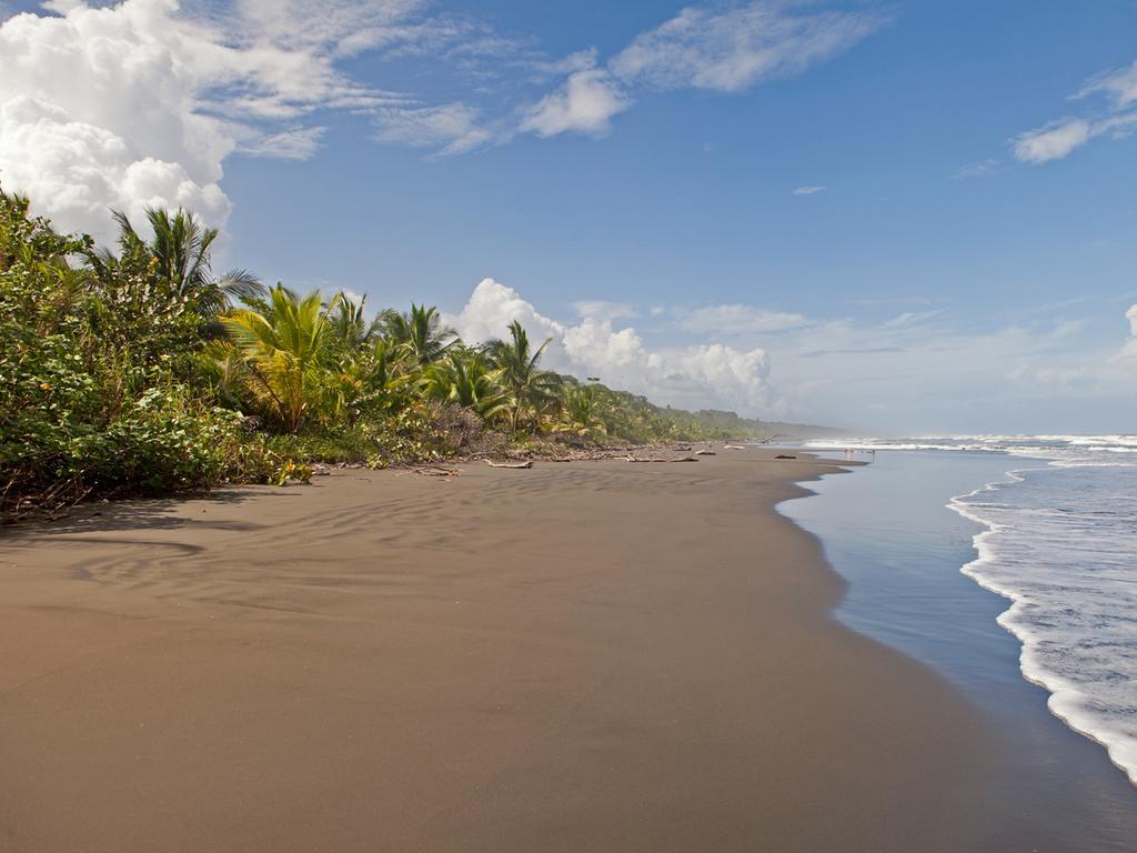 Hotel Caribbean Coconut Кахуита Екстериор снимка
