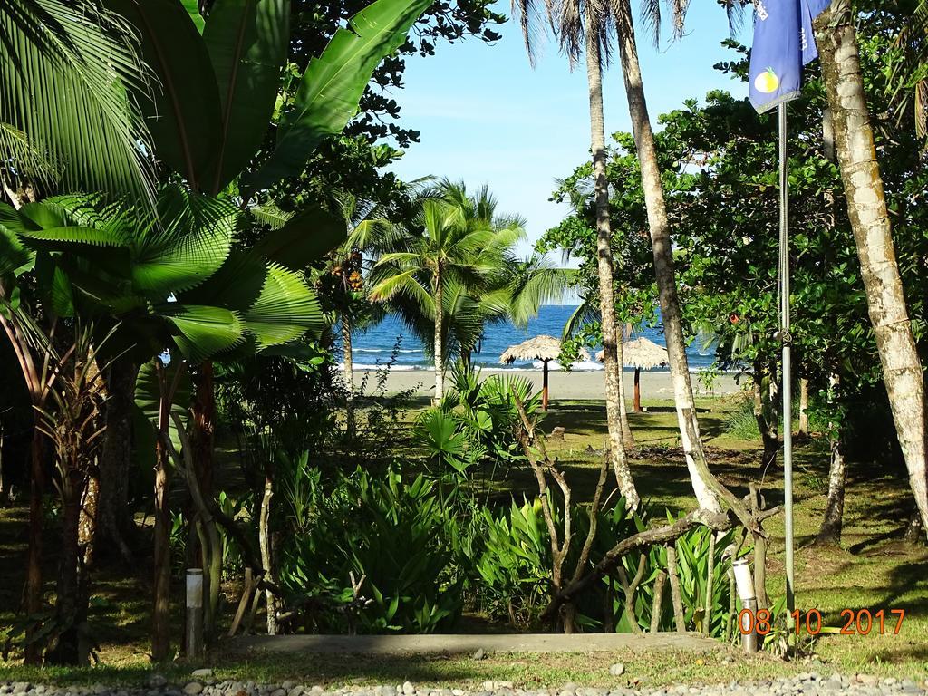 Hotel Caribbean Coconut Кахуита Екстериор снимка