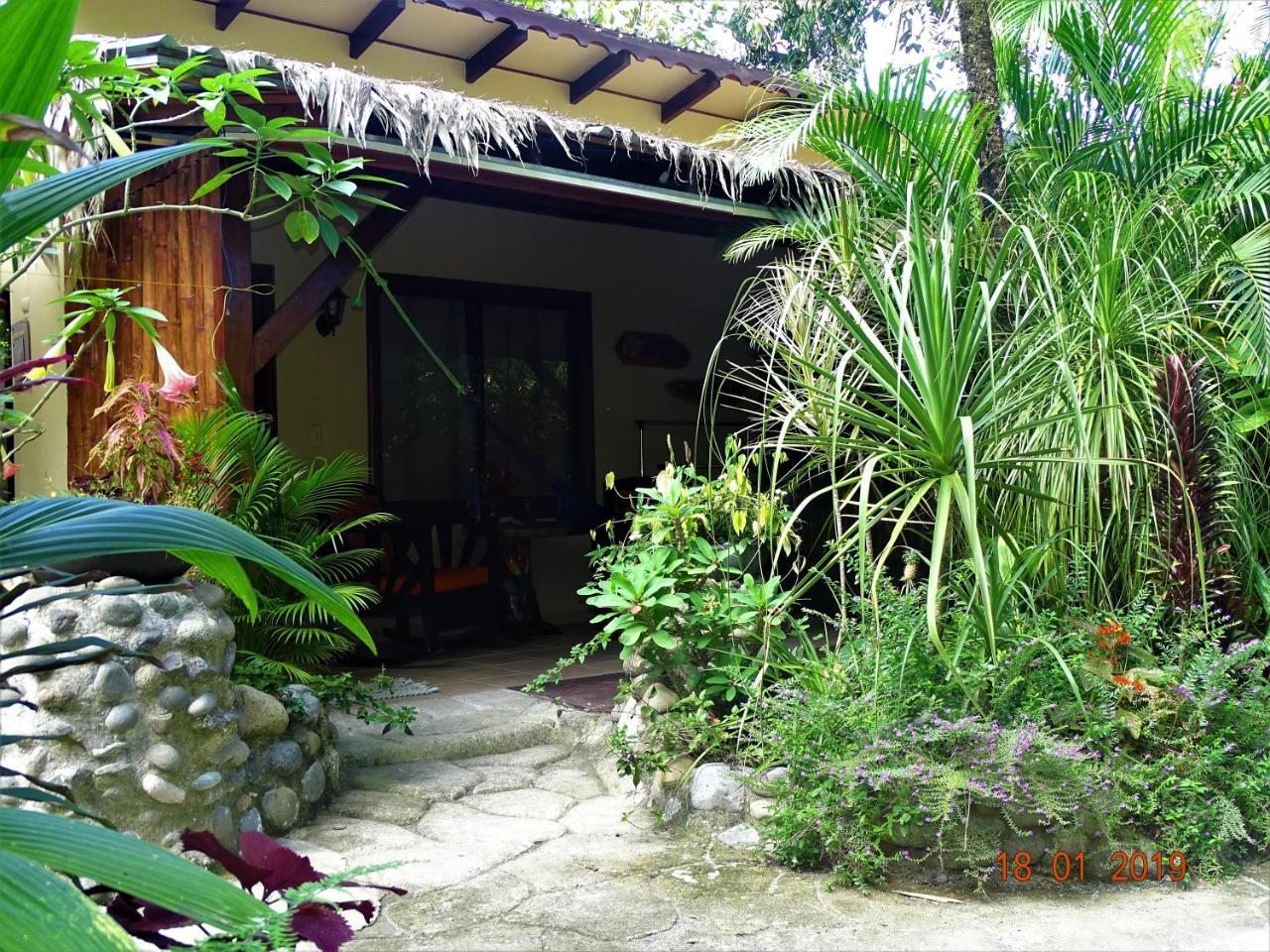 Hotel Caribbean Coconut Кахуита Екстериор снимка
