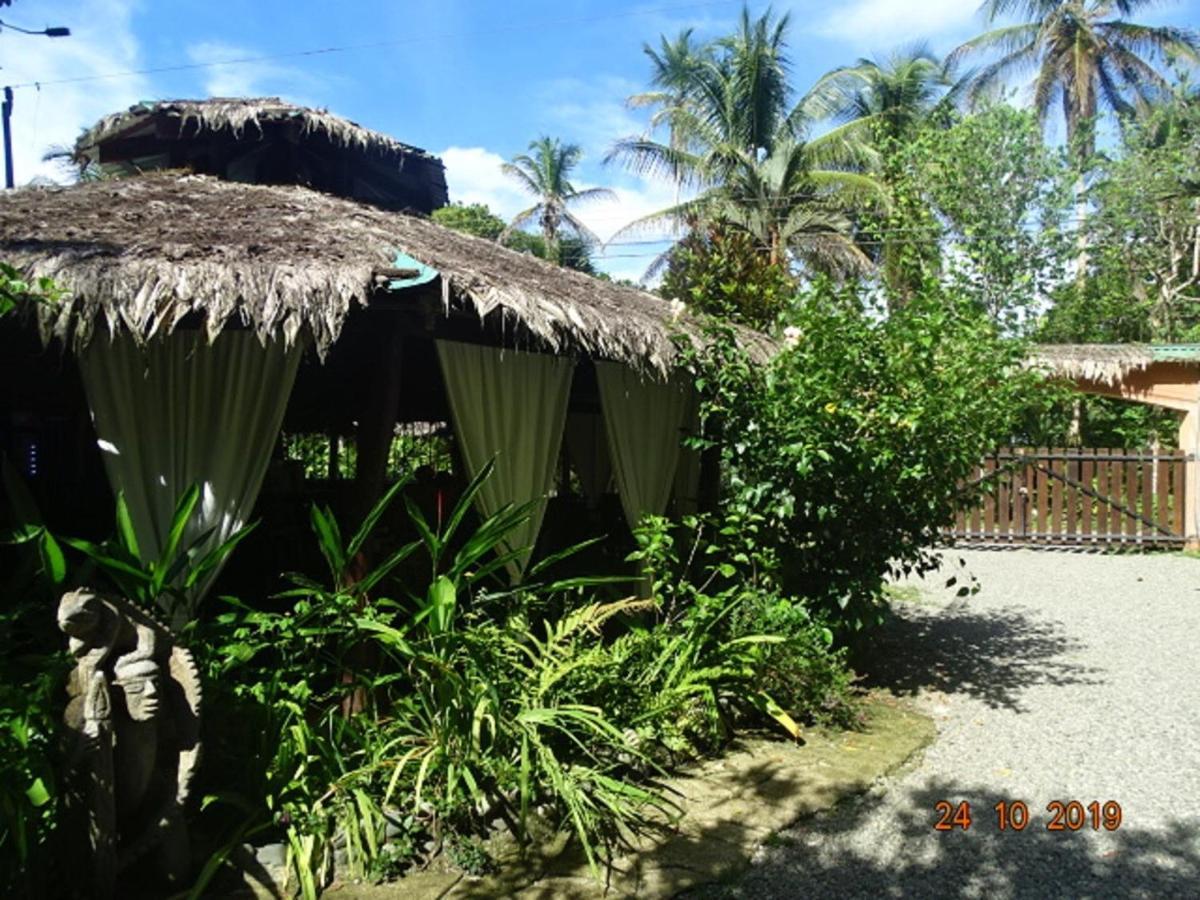 Hotel Caribbean Coconut Кахуита Екстериор снимка